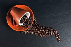 september-sumsel-gelar-festival-kopi